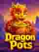 Dragon Pots